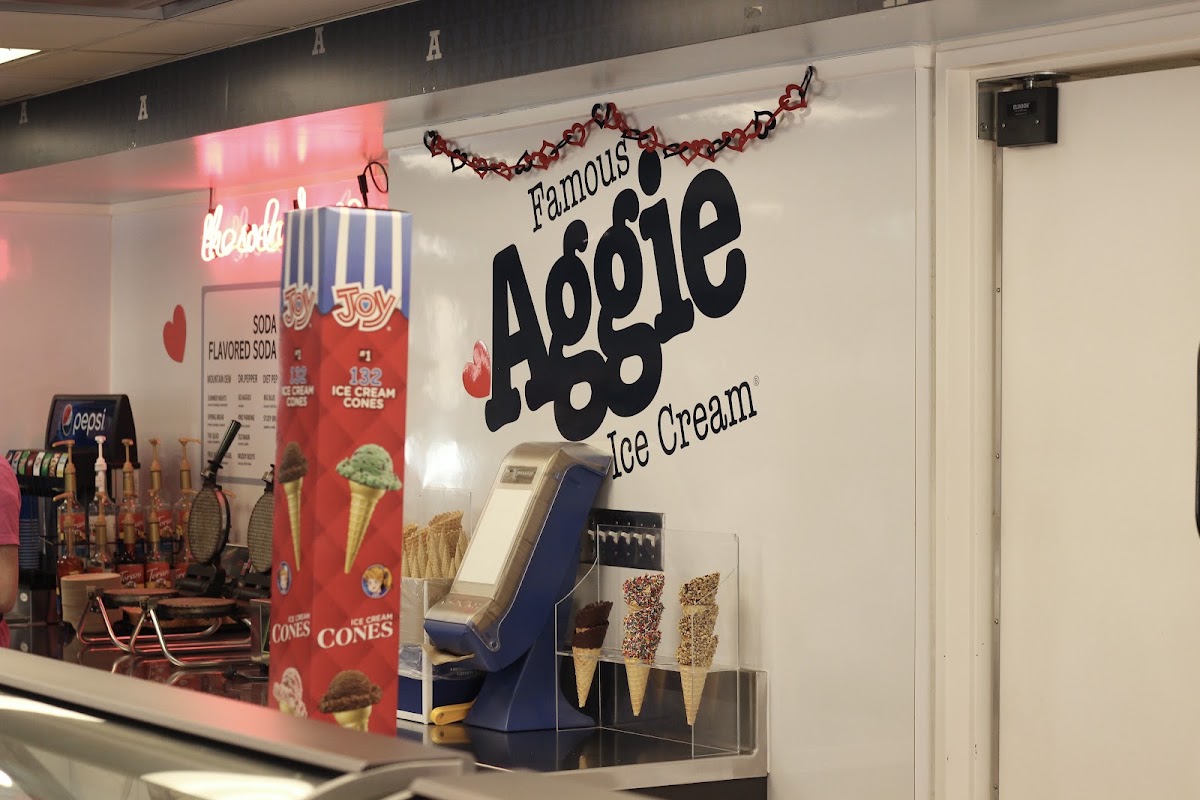 Aggie Ice Cream @ The Creamery in Logan, UT