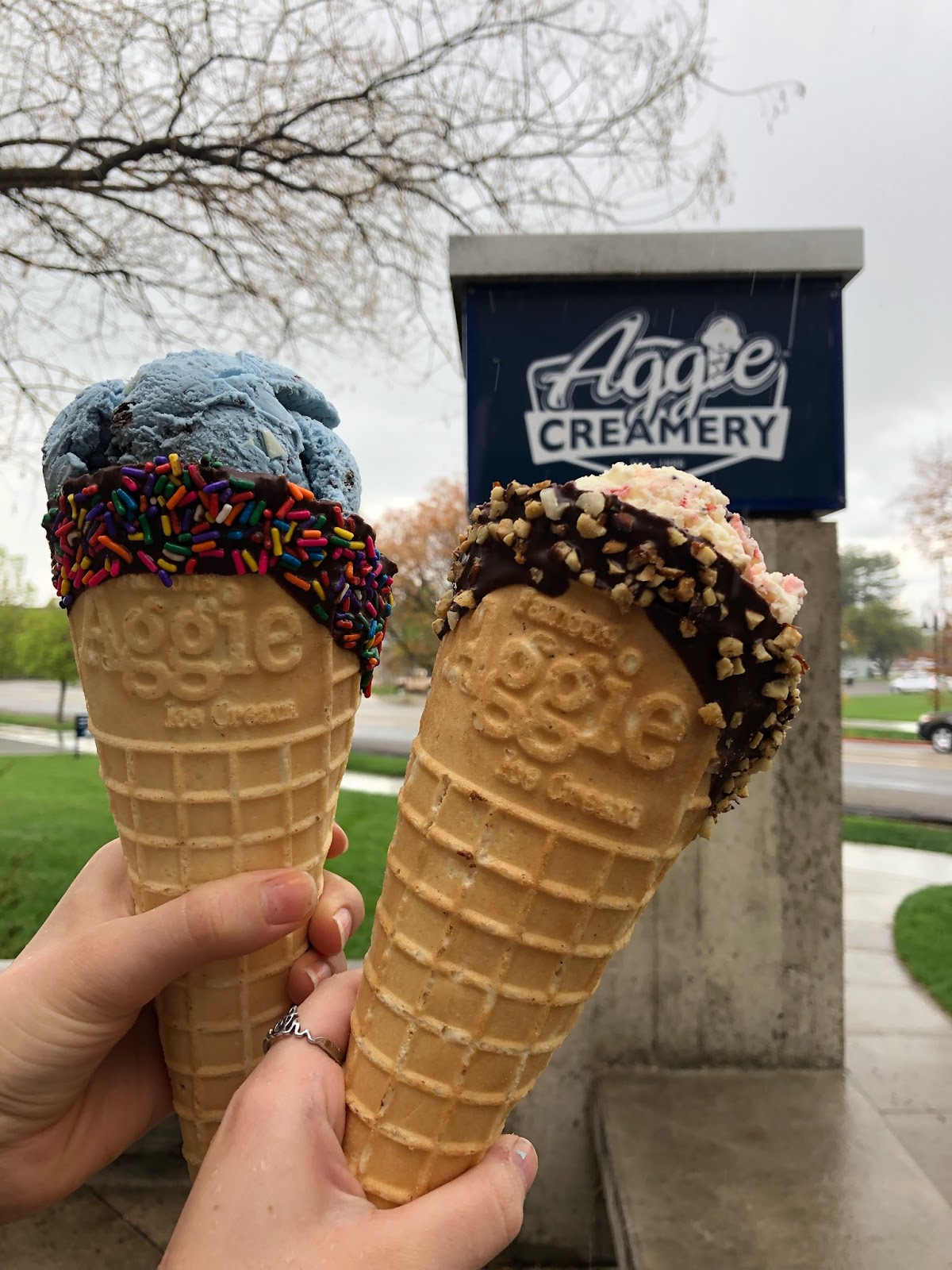 Aggie Ice Cream @ The Creamery photo from Google