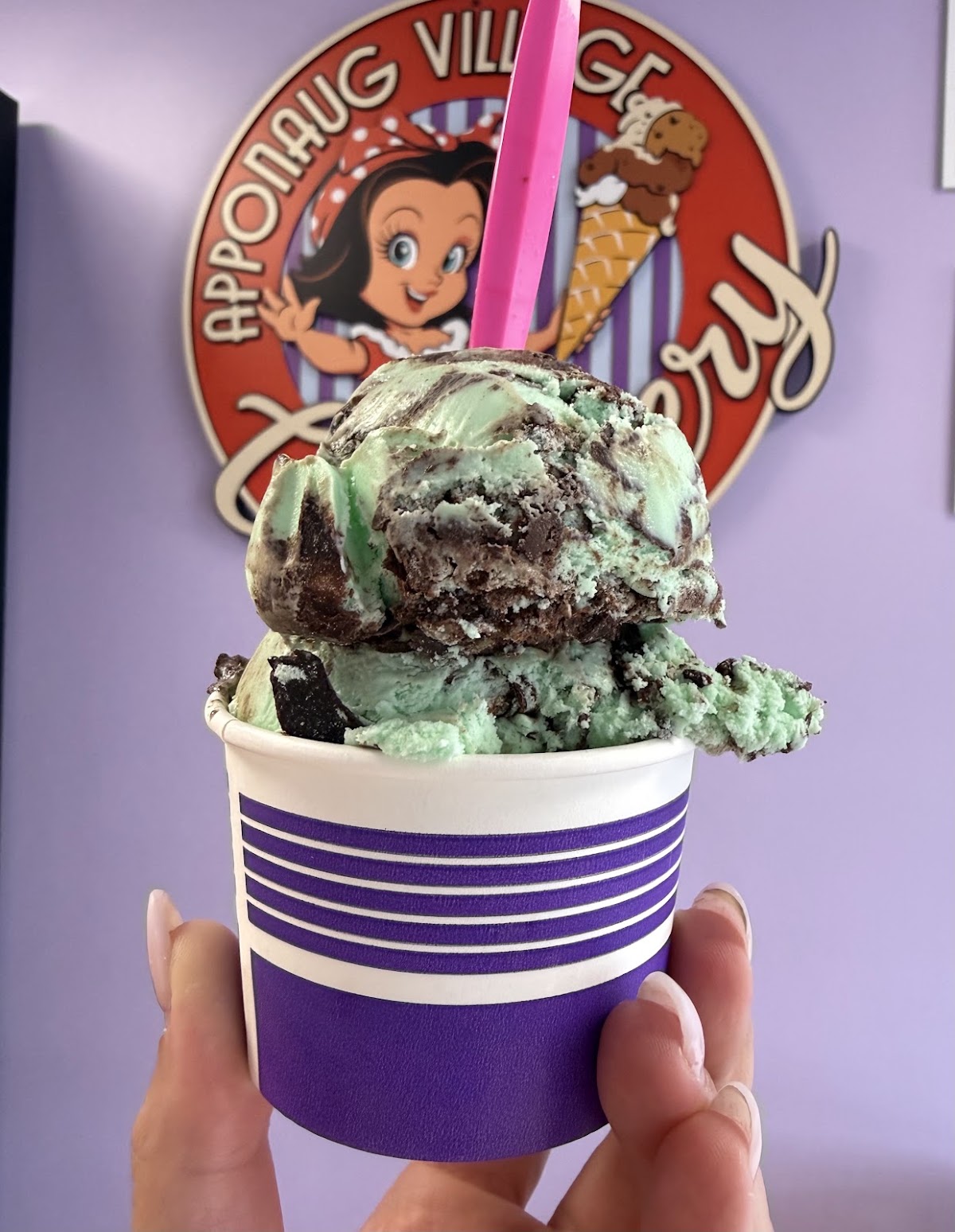 Apponaug Village Creamery photo from Google
