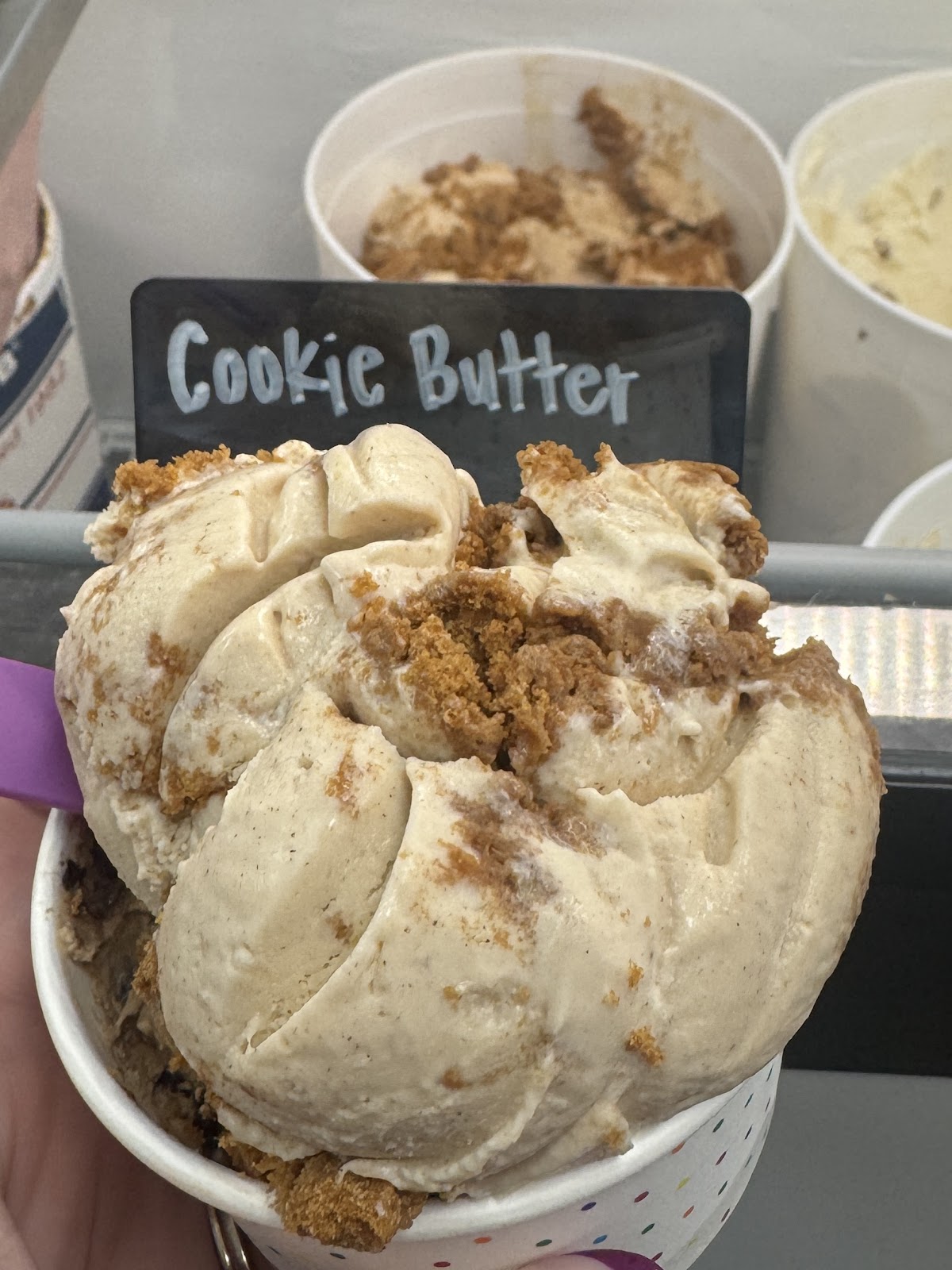 Azalea City creamery photo from Google