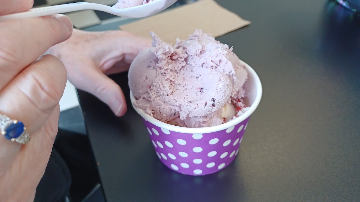 BJ’s Old Fashion Ice Cream photo from Google