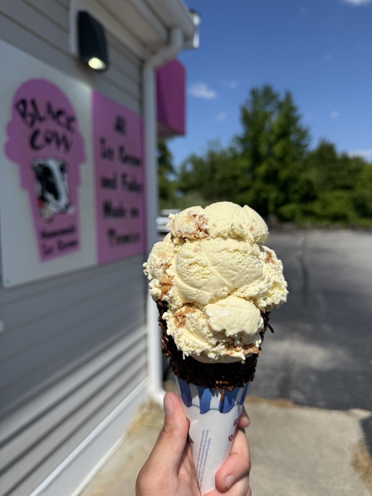 Black Cow Ice Cream photo from Google