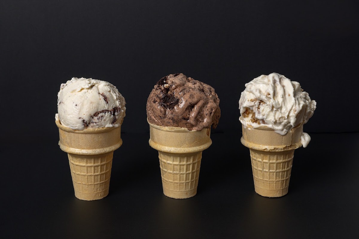 Black Dog Creamery in Butte, MT