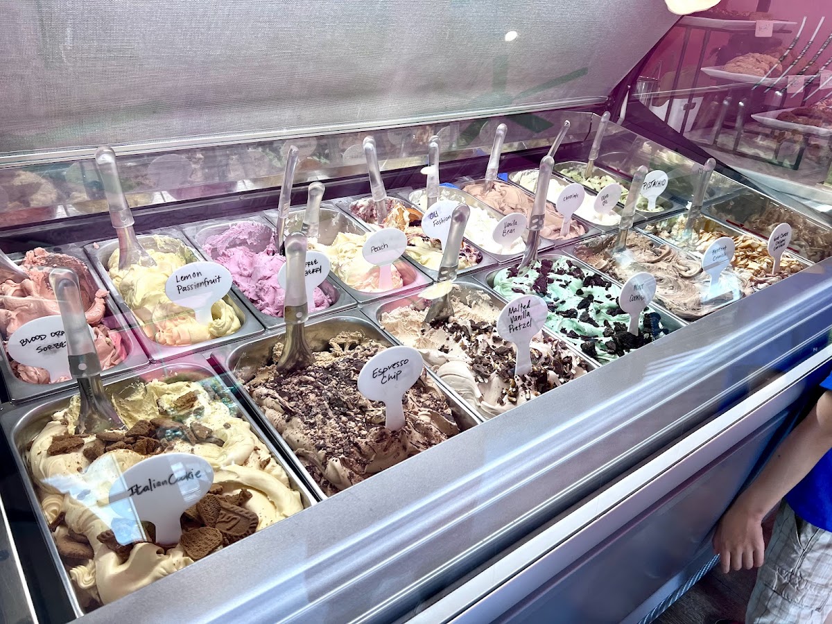Black Dog Gelato photo from Google