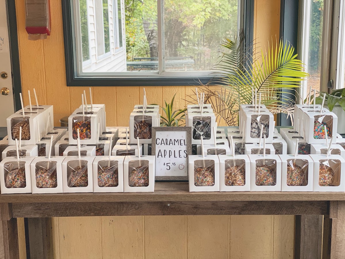 Bobby Sue's Homemade Ice Cream in Freedom, NH