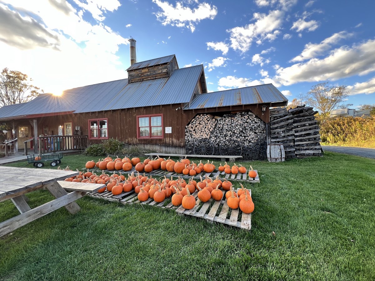 Bragg Farm Sugar House & Gift photo from Google