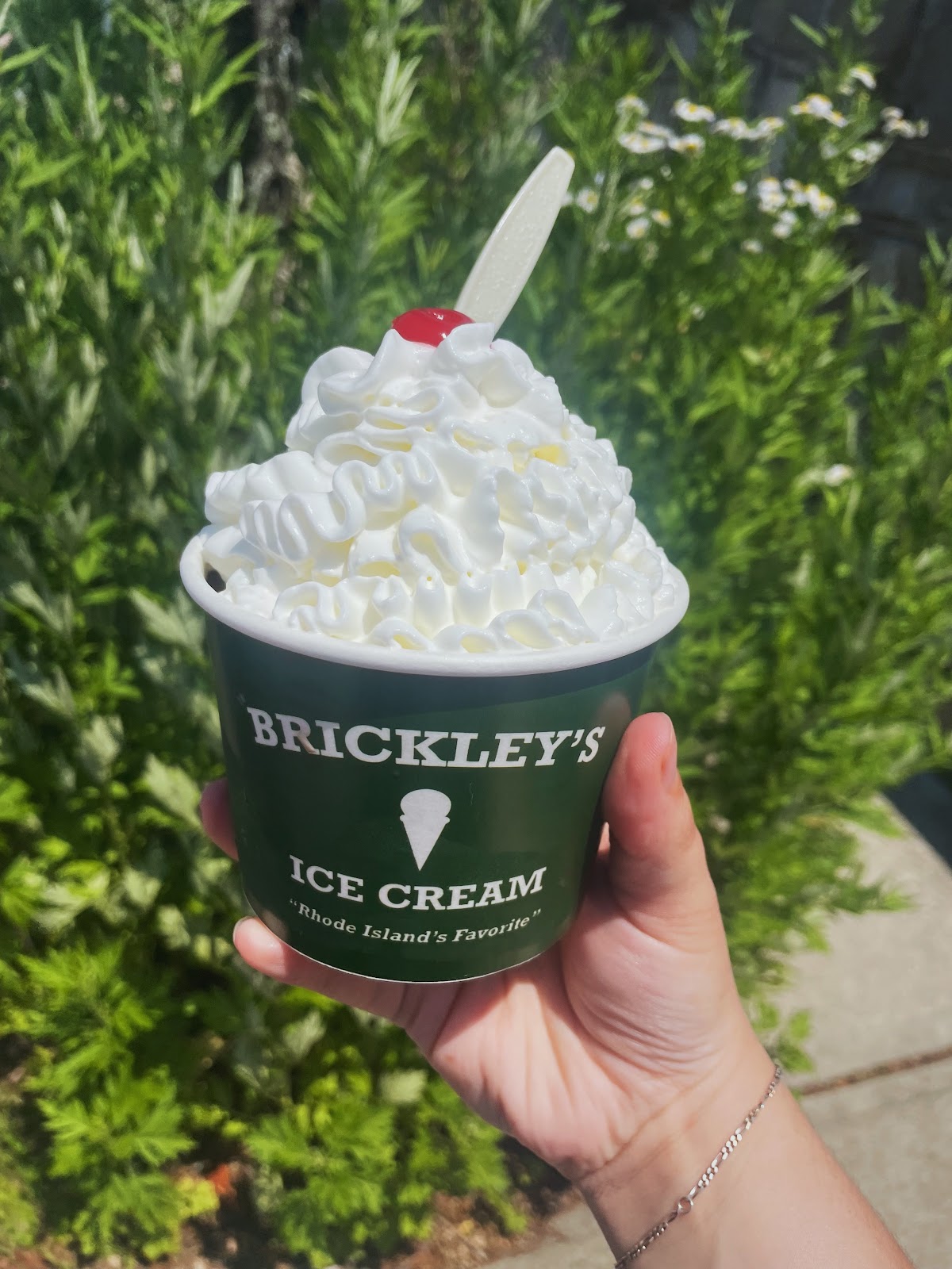 Brickley's Ice Cream photo from Google