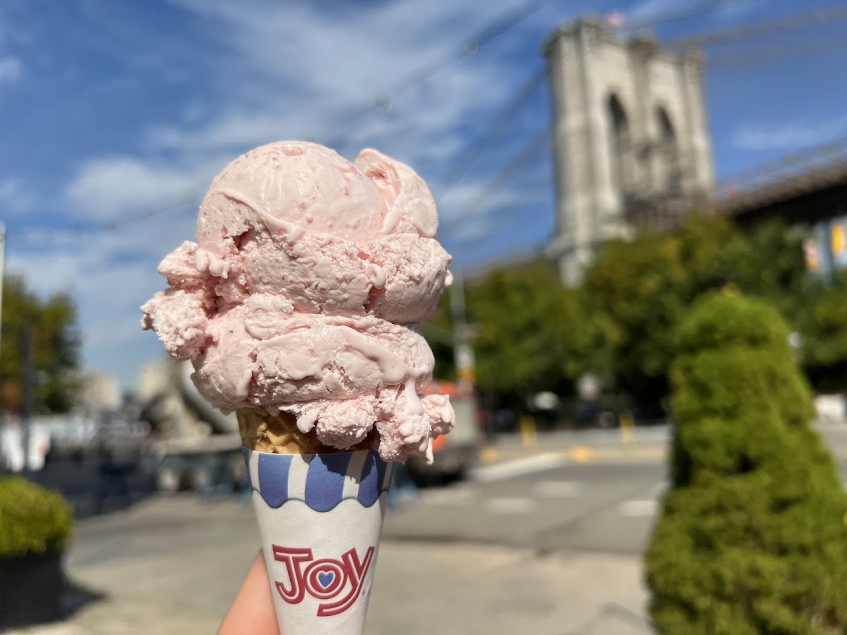 Brooklyn Ice Cream Factory photo from Google