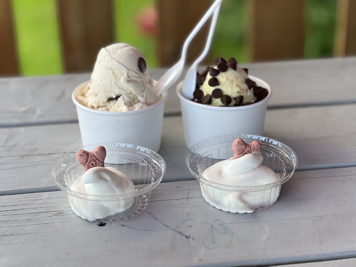 Butterfield's Ice Cream photo from Google