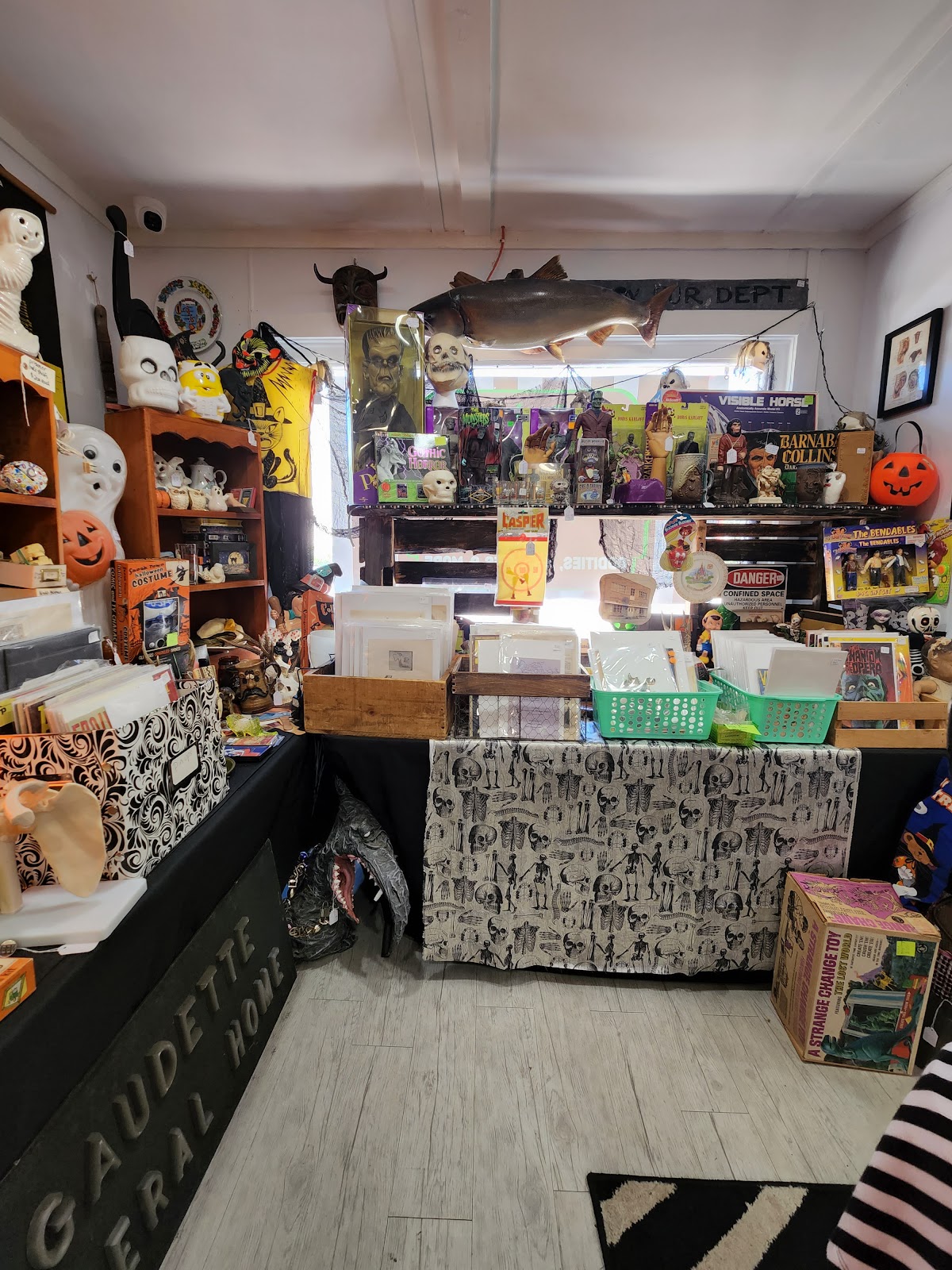 Candy's Curiosities & Vintage Oddities Shop photo from Google