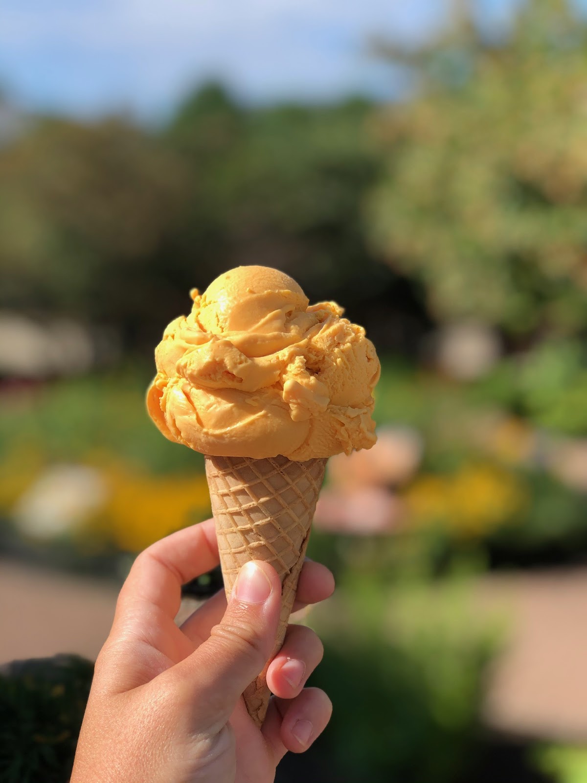 Cap's Ice Cream photo from Google