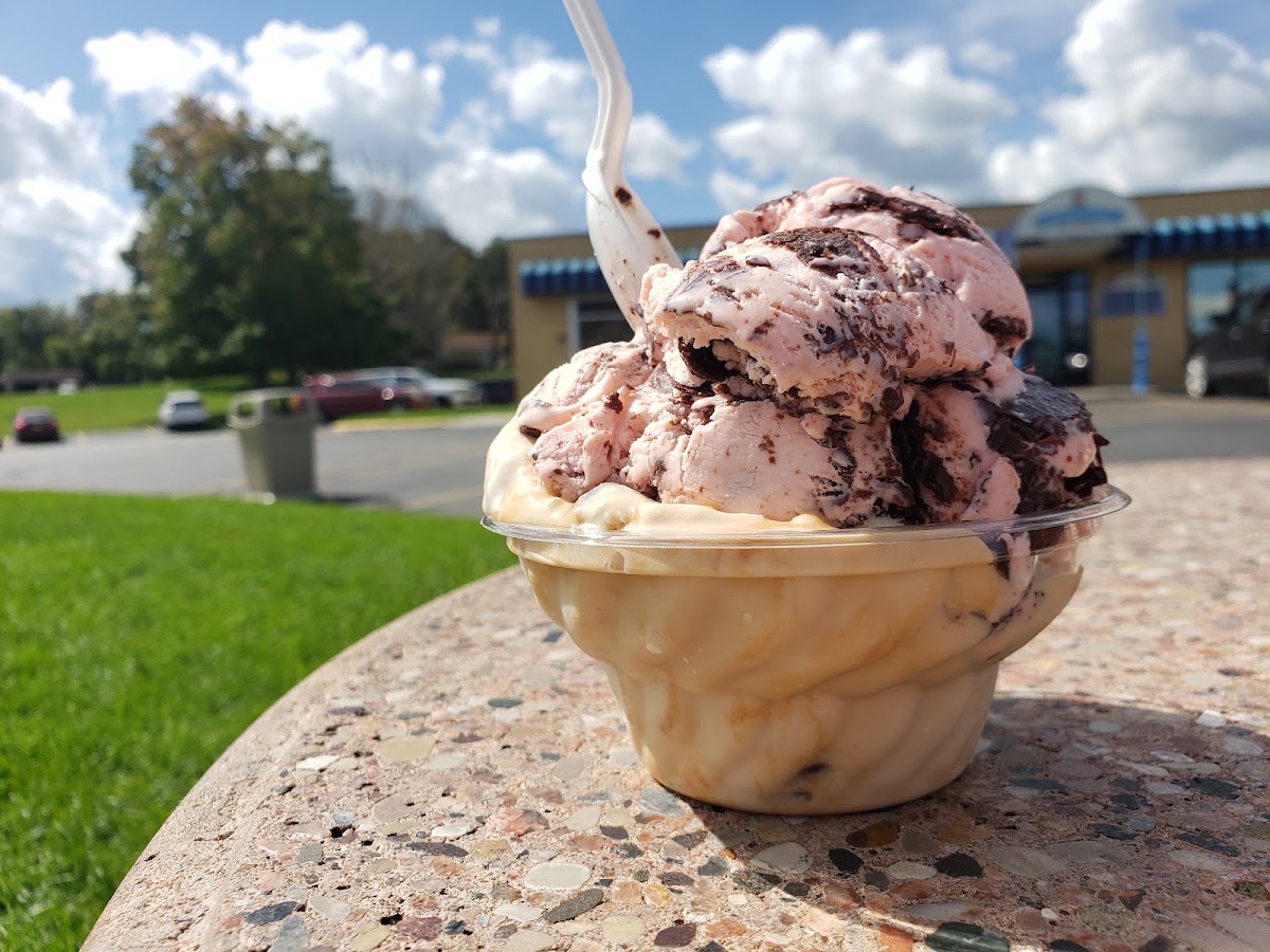 Cedar Crest Ice Cream Plant & Parlor photo from Google
