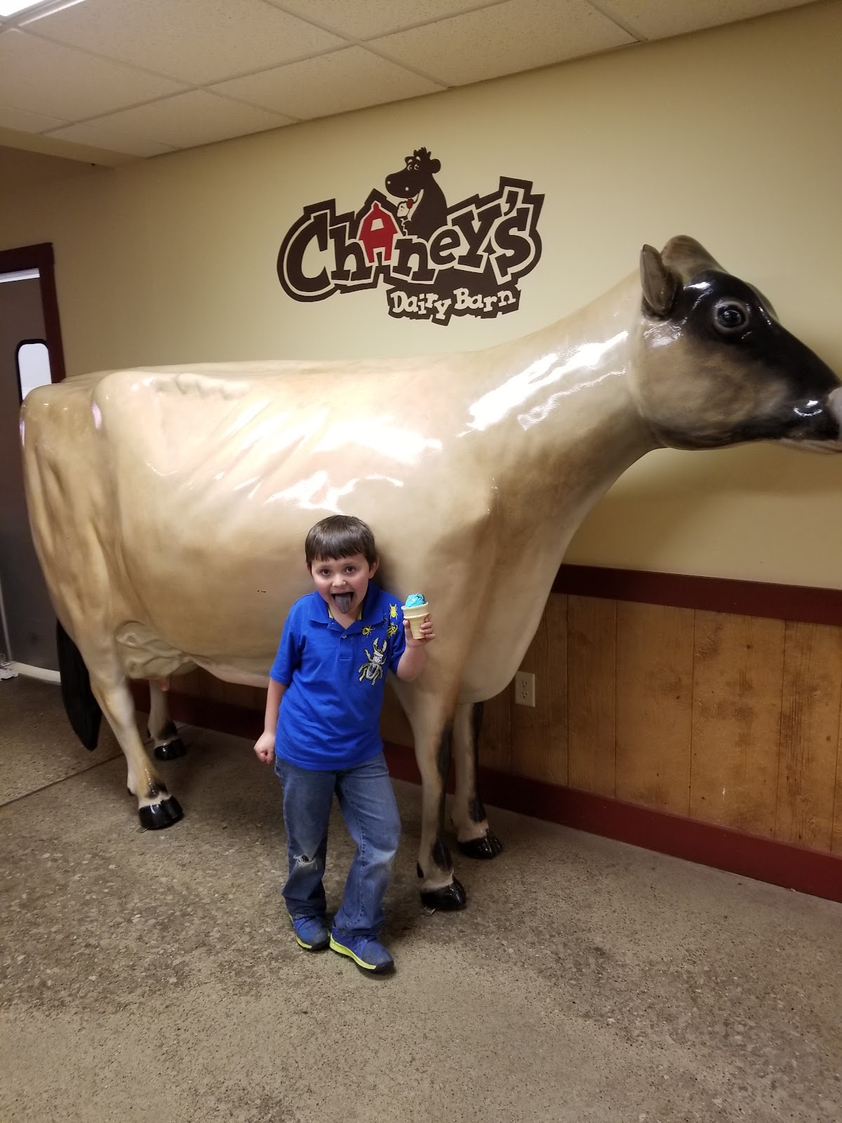 Chaney's Dairy Barn photo from Google