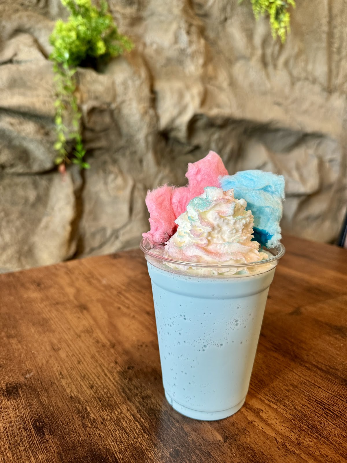 Chill Sloth Ice Cream & Smoothies photo from Google