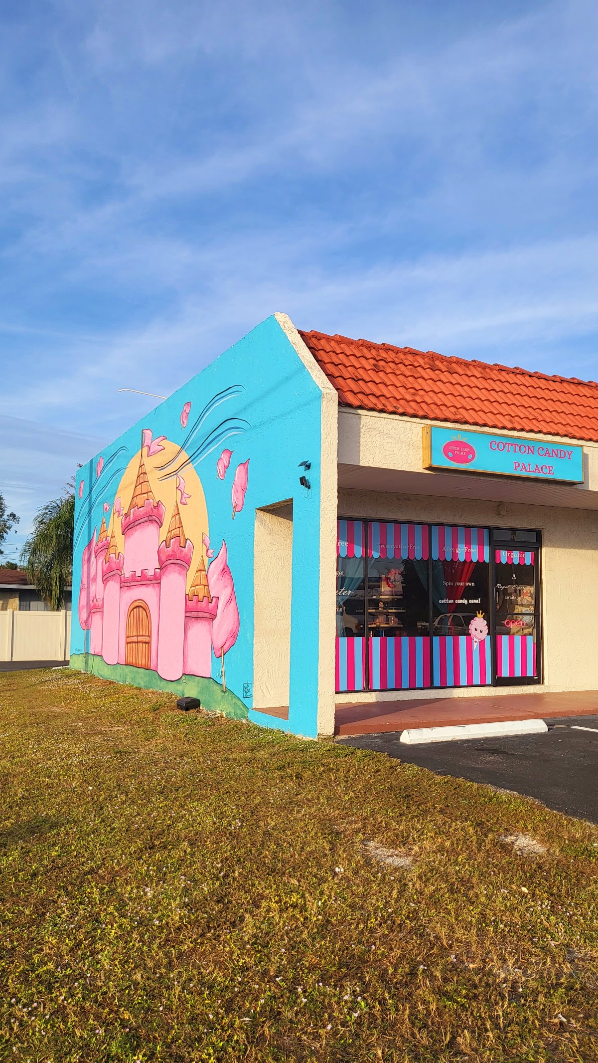 Cotton Candy Palace in Tampa, FL