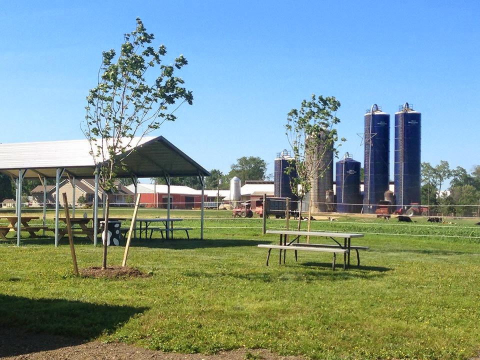Cowgirl's Creamery At Emerson Farms photo from Google