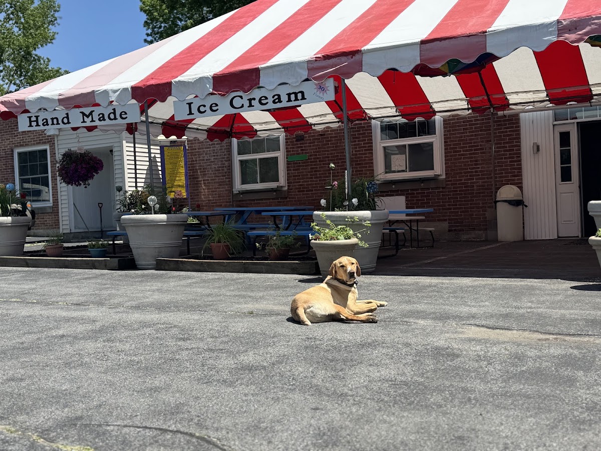 Crux & Crumb - featuring The Ice Cream Machine in Charlestown, NH