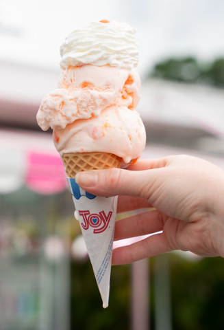 Dairy Joy- Tampa Ice Cream photo from Google