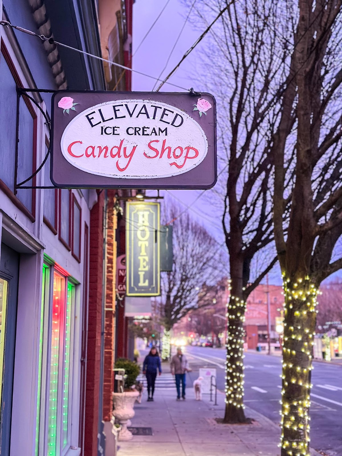 Elevated Ice Cream Co photo from Google