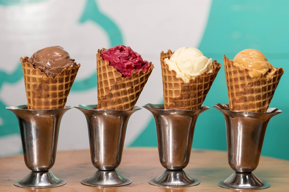 Fat Cat Creamery photo from Google