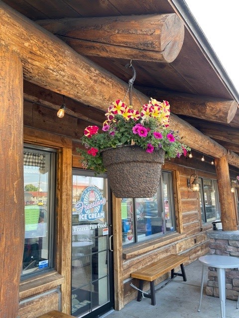 Freestone Ice Cream in Hamilton, MT