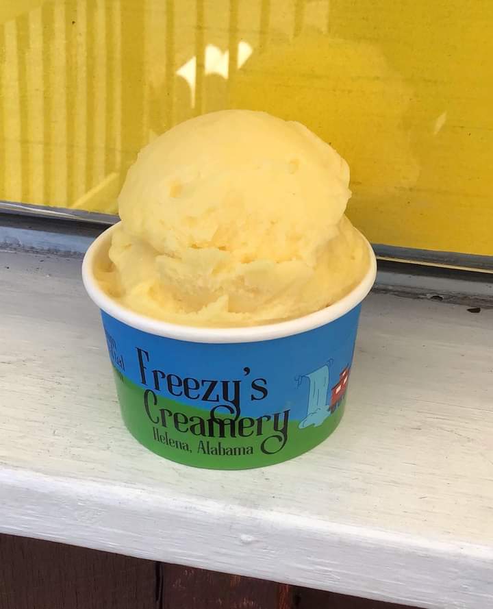 Freezy's Creamery photo from Google