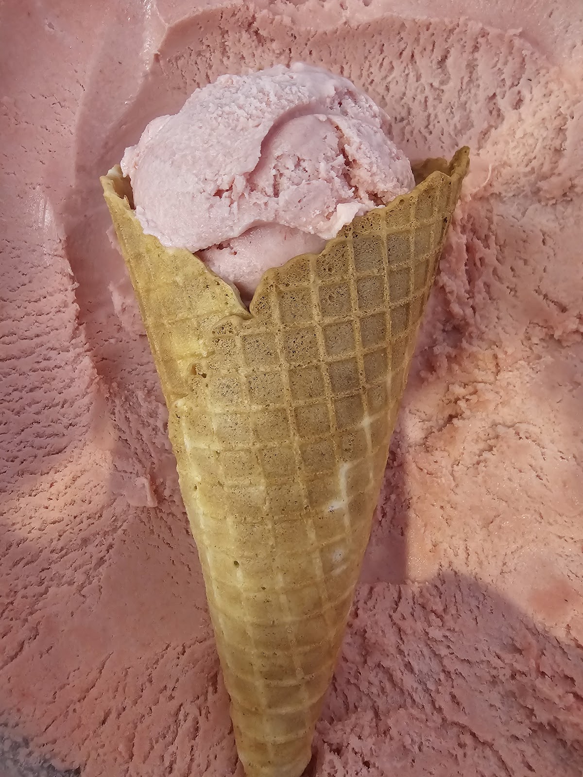 Great NorthWest Ice Cream Company photo from Google