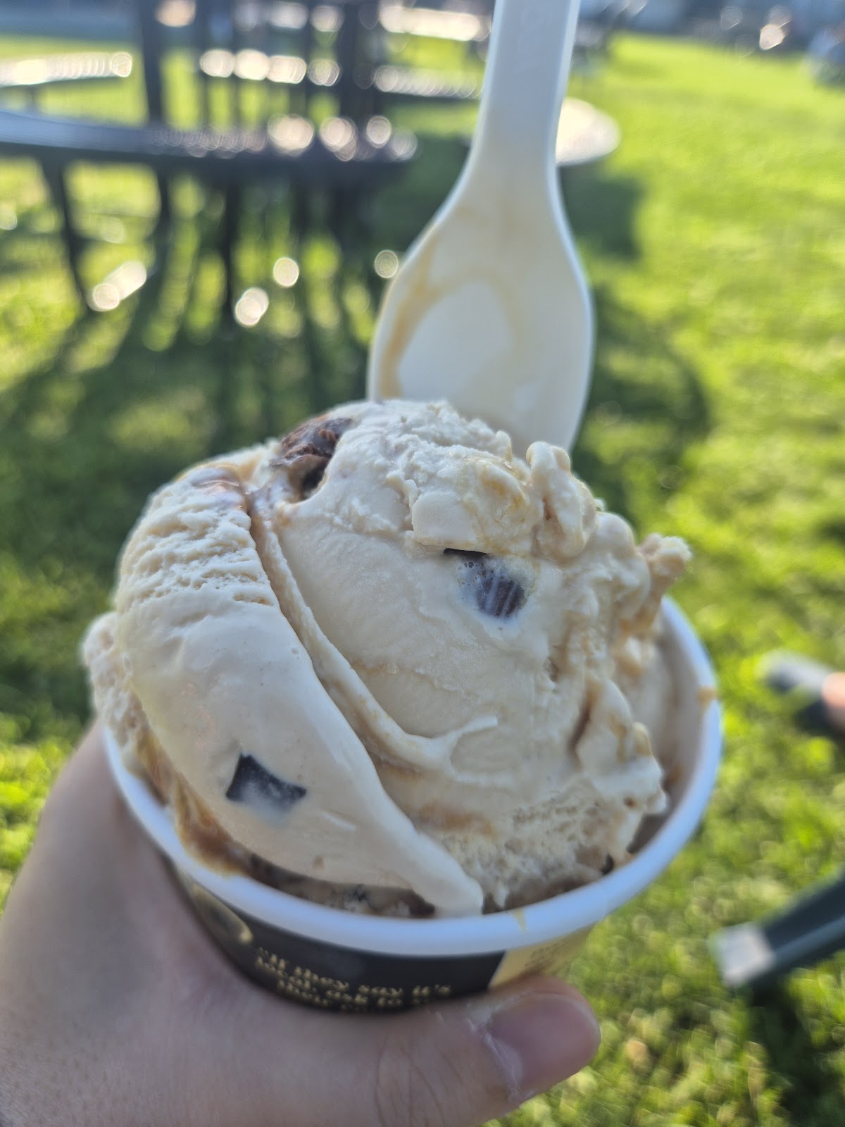 Hadley Scoop at the Silos ice cream farm photo from Google