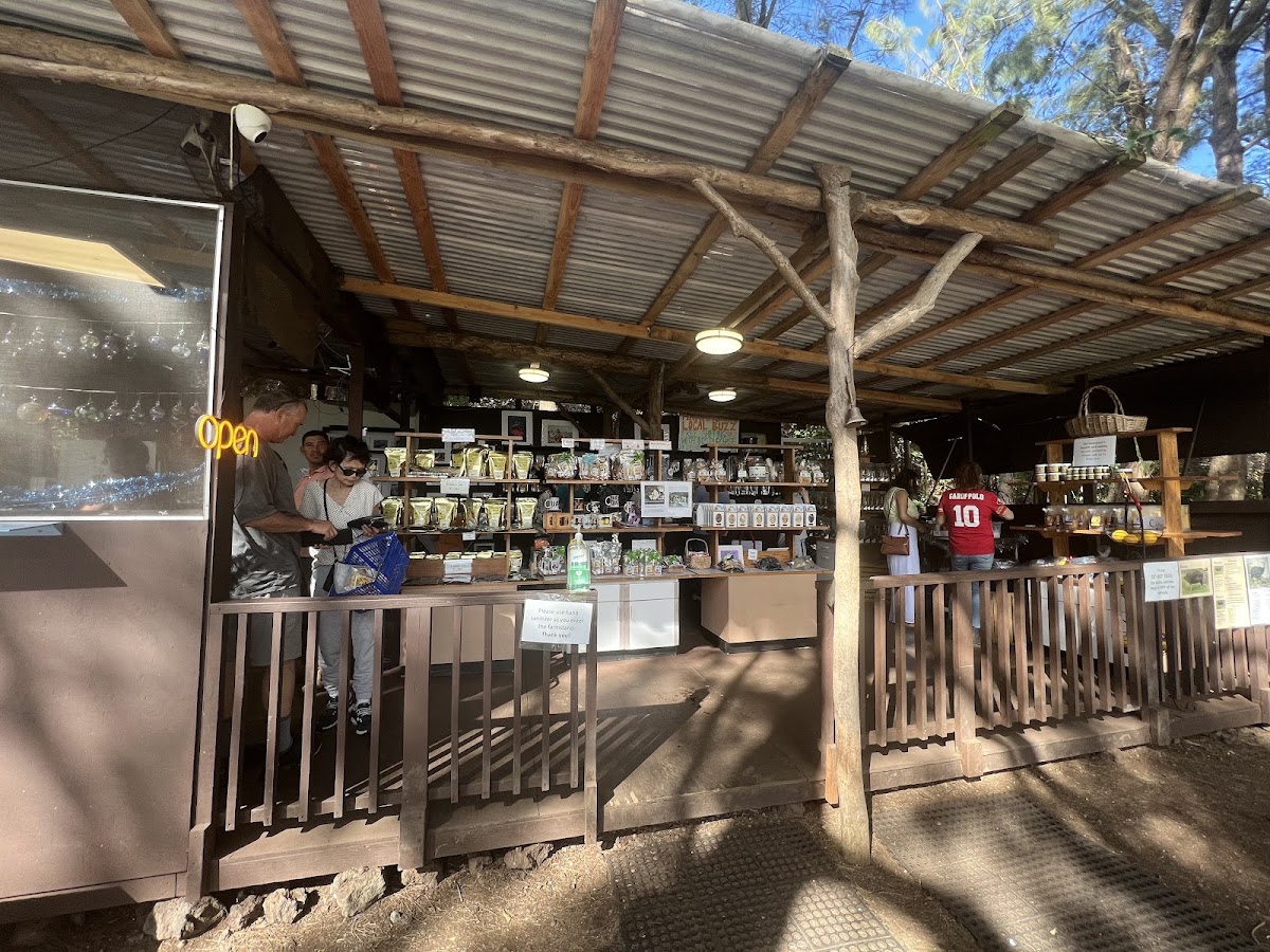 Hawaii's Local Buzz at Paradise Meadows in Naalehu, HI