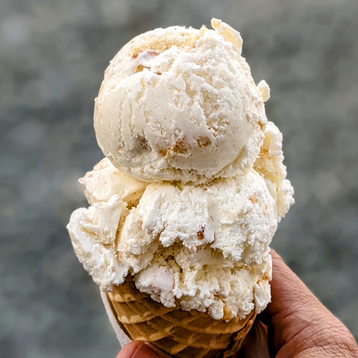 Homeland Creamery photo from Google