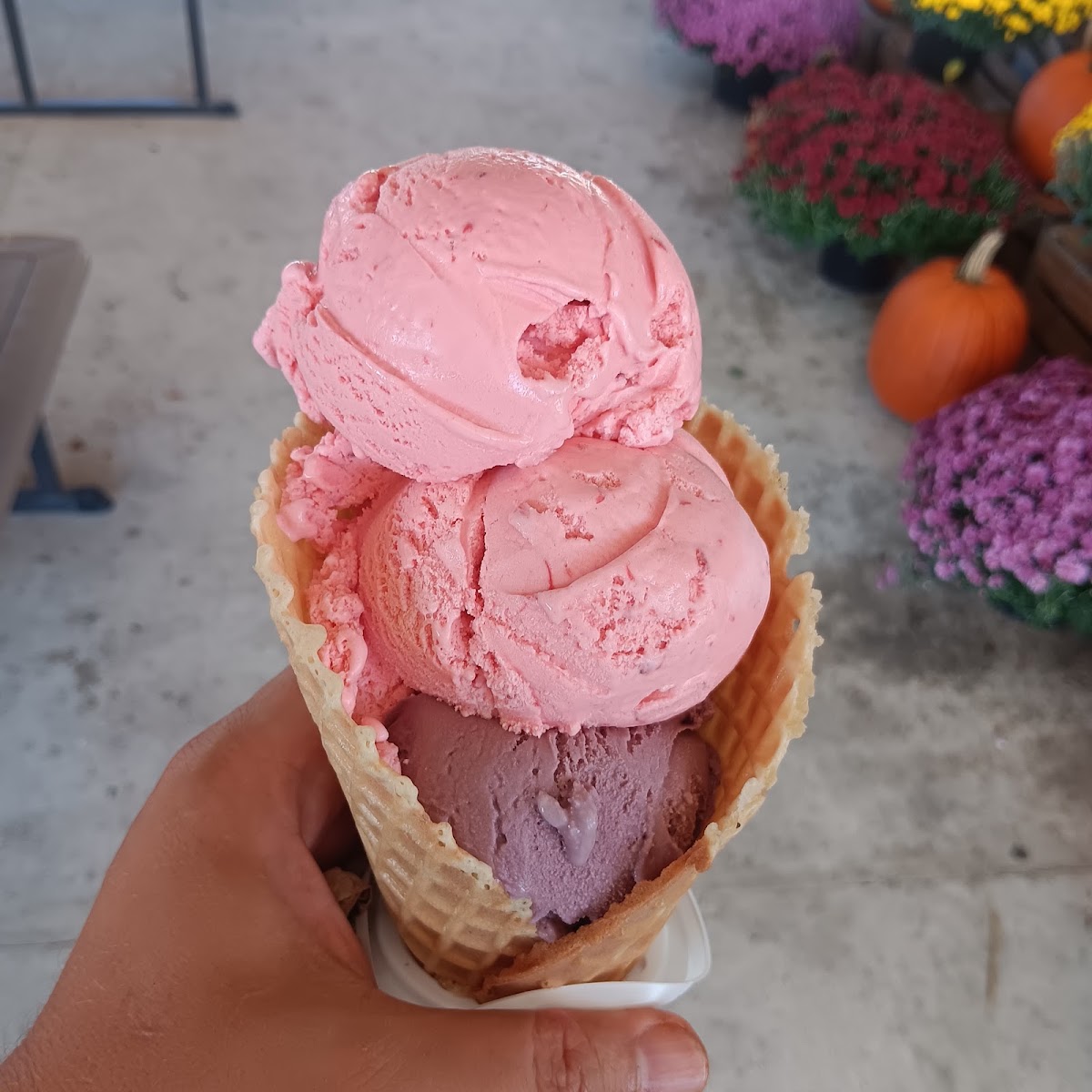 Hopkins Farm Creamery photo from Google