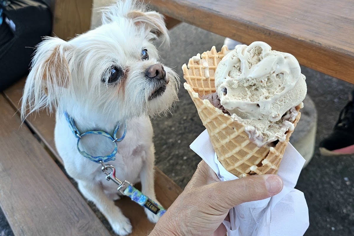 Lacroix’s Homemade Ice Cream photo from Google