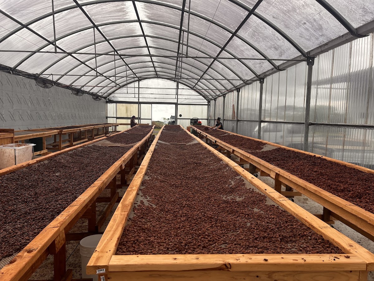 Lavaloha Chocolate - Farm Tours photo from Google