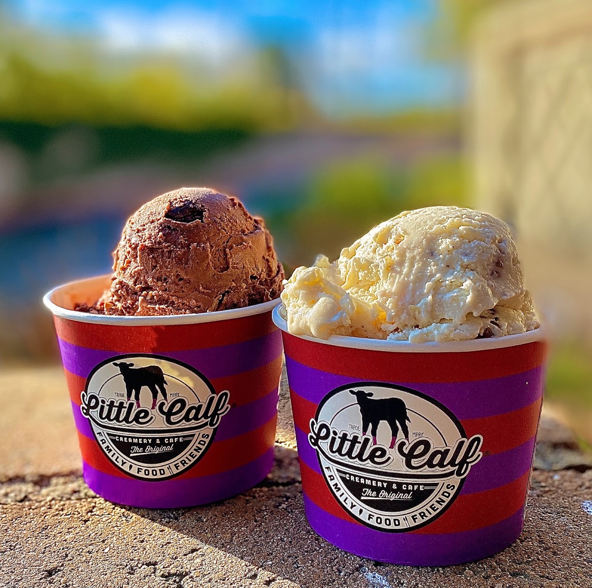 Little Calf Creamery and Cafe photo from Google