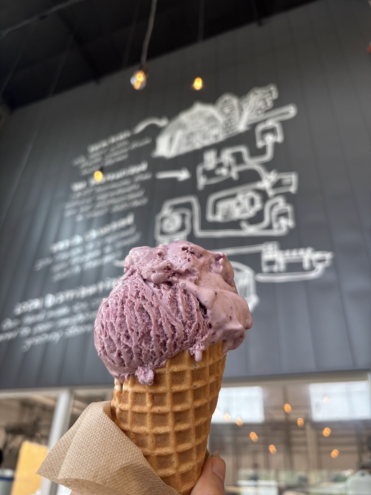 Lopez Island Creamery photo from Google