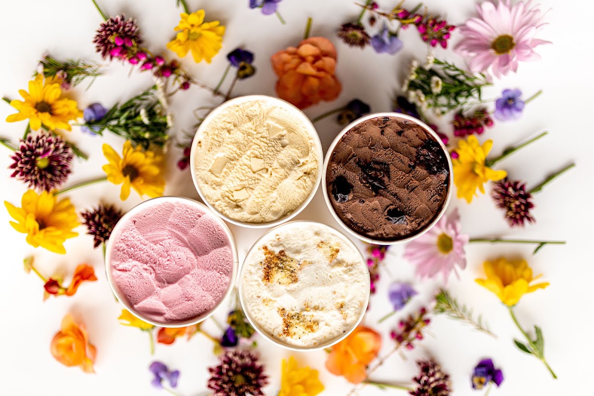 Milkjam Creamery photo from Google