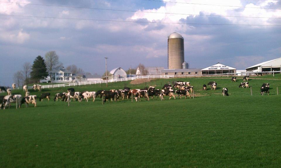 MOO-ville Creamery in Ionia "The Udder Store" photo from Google