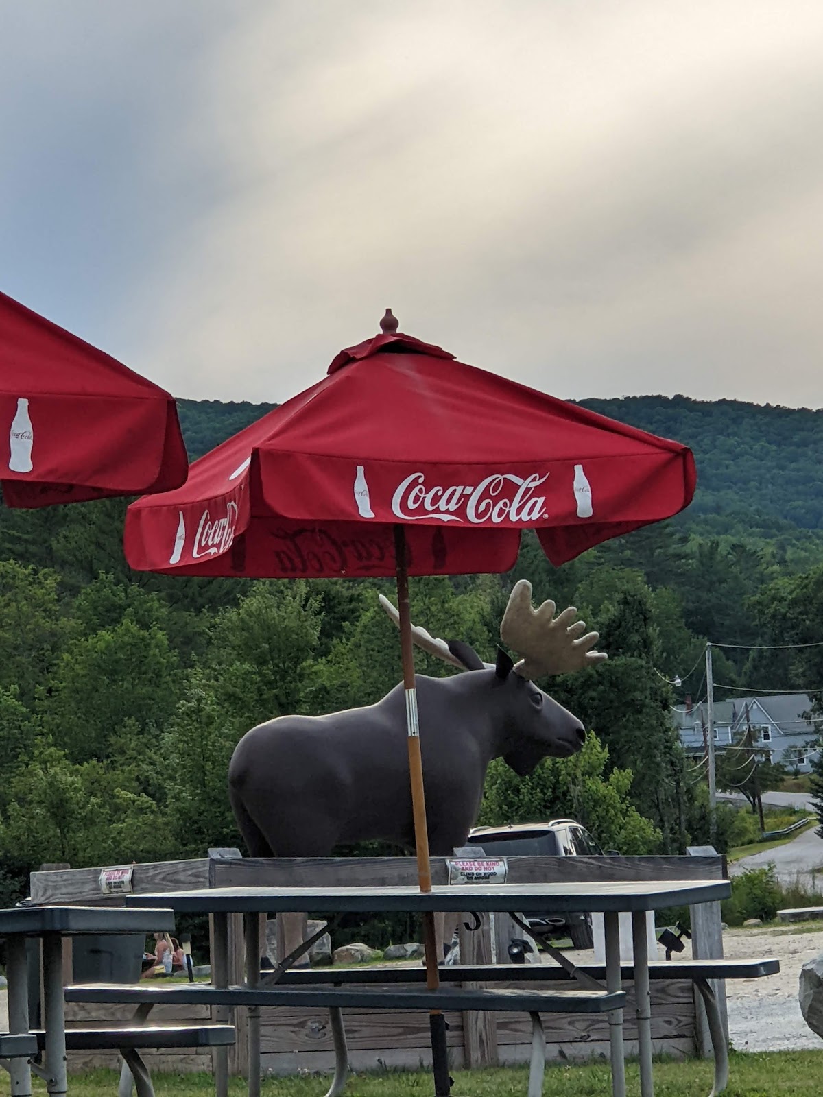 Moose Scoops Ice Cream in Warren, NH