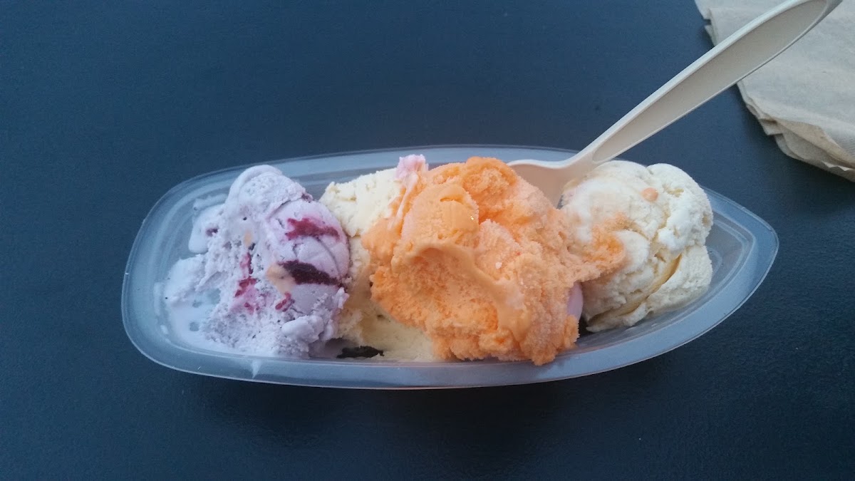 Moose Scoops Ice Cream photo from Google