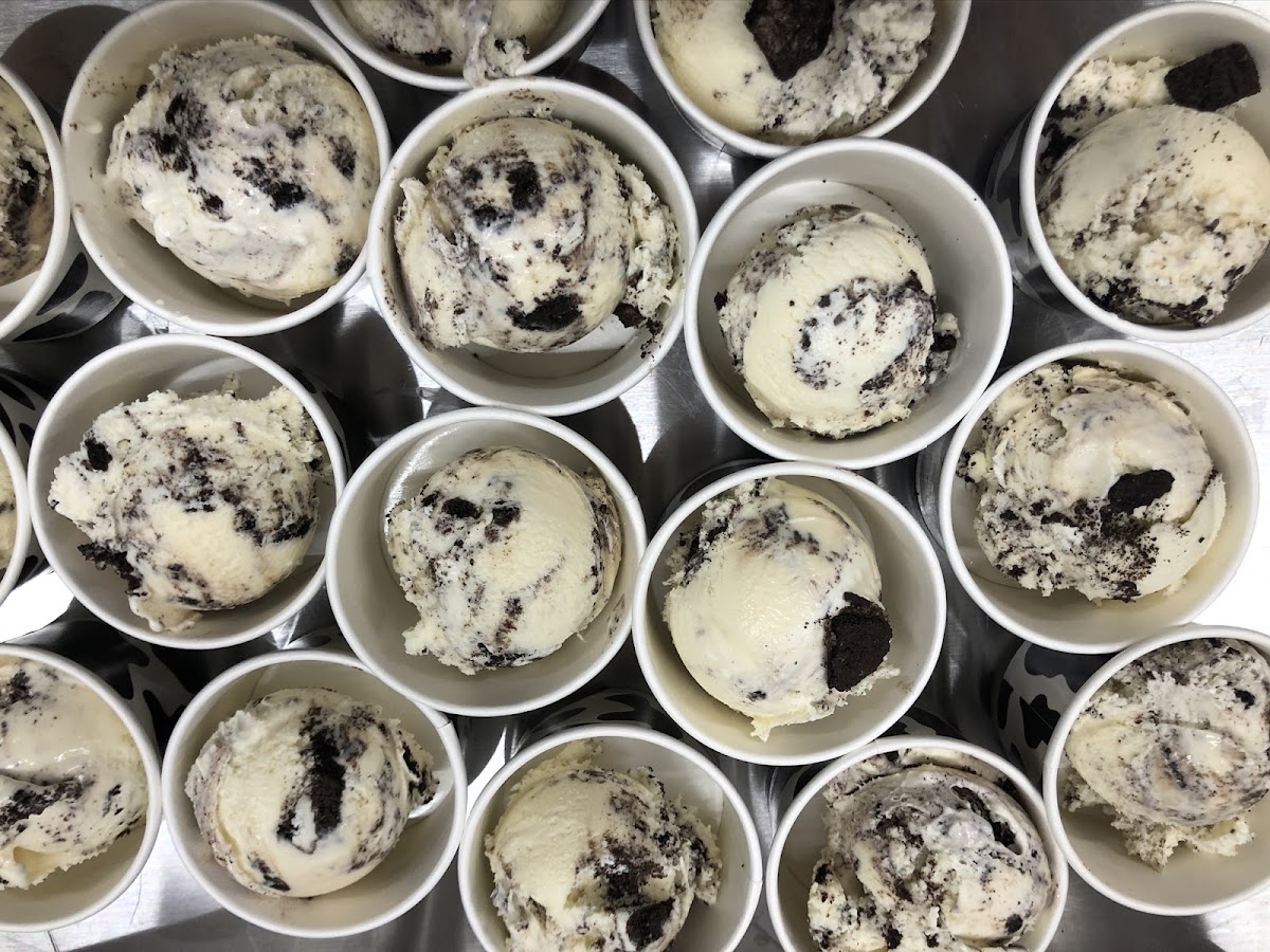 Motley Moo Creamery photo from Google