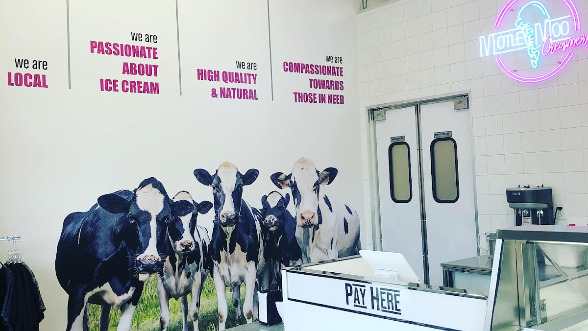 Motley Moo Creamery photo from Google