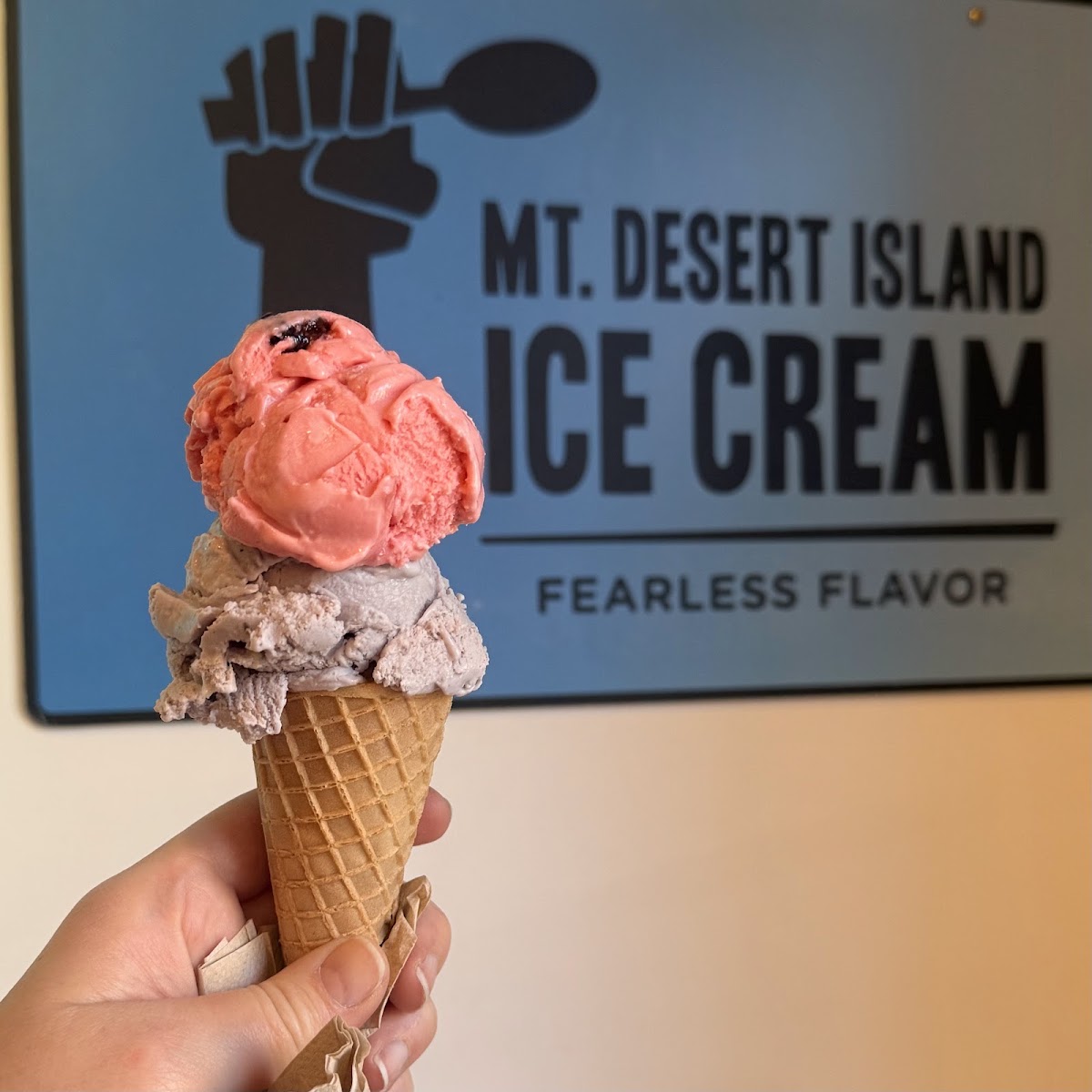 Mount Desert Island Ice Cream photo from Google