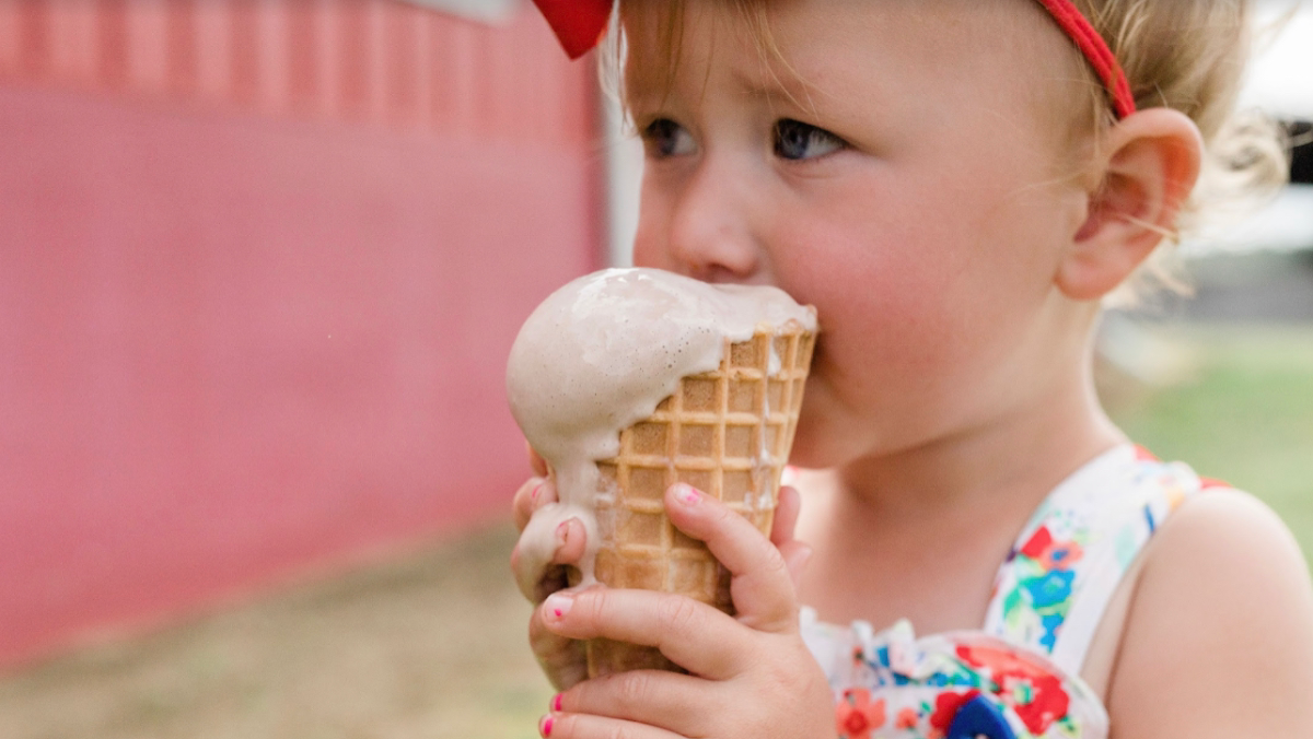 Nash Family Creamery photo from Google