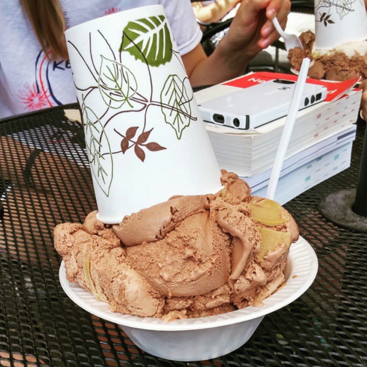 Nelson's Ice Cream photo from Google