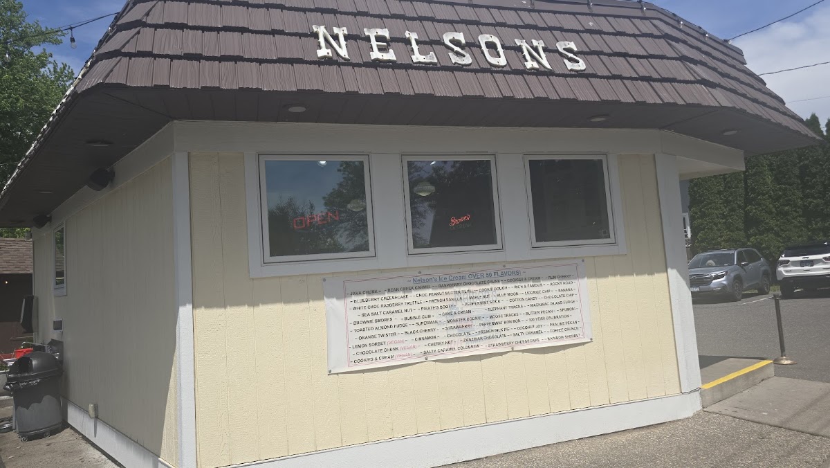 Nelson's Ice Cream in Stillwater, MN