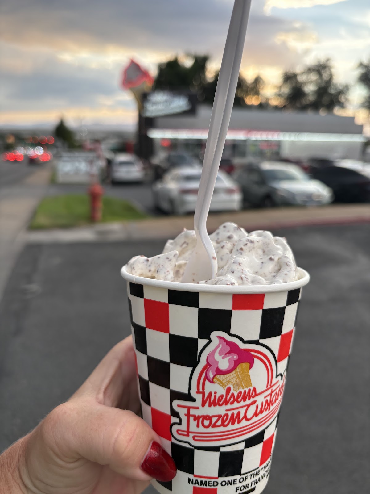 Nielsen's Frozen Custard (Bountiful) photo from Google