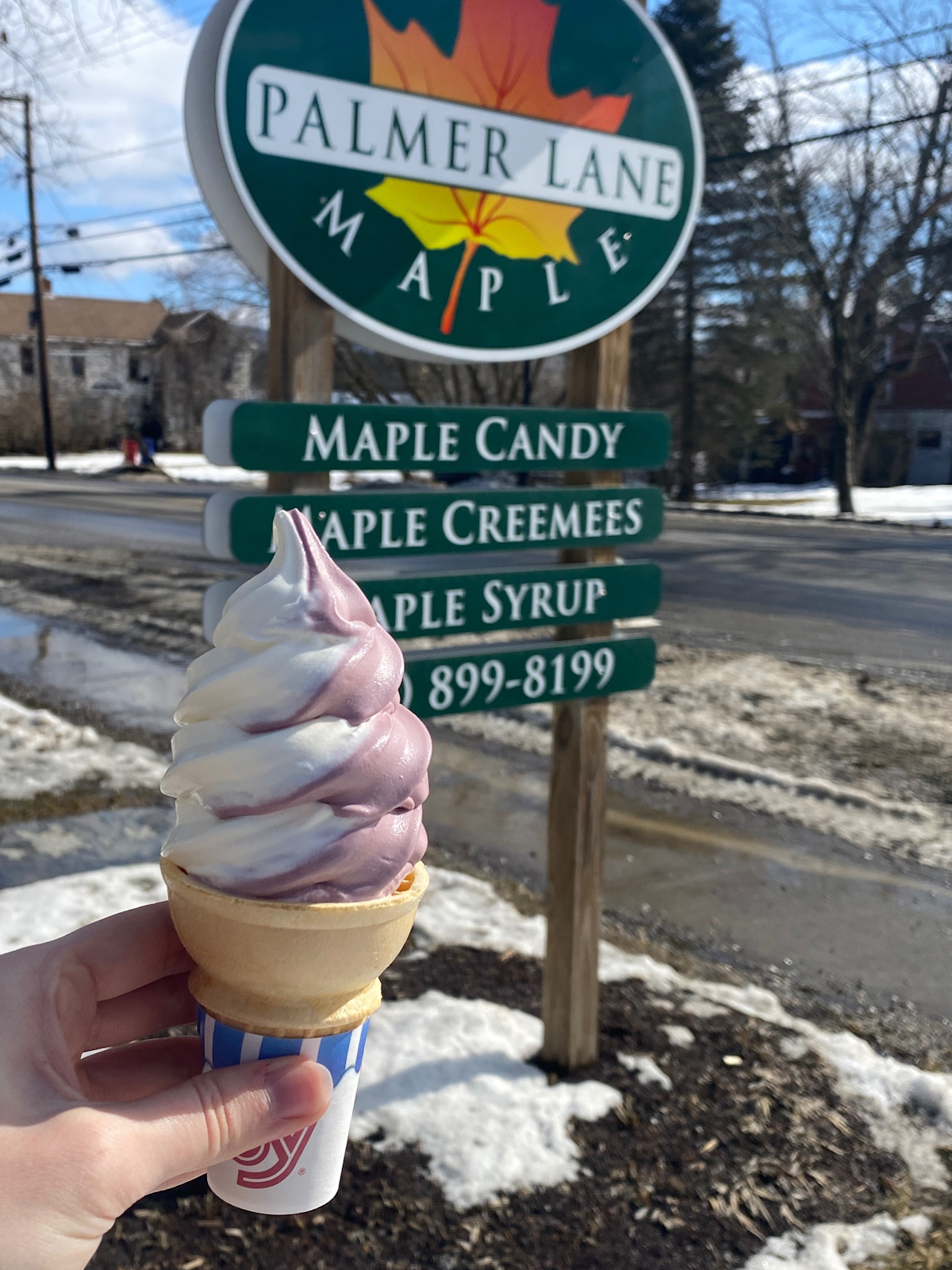 Palmer Lane Maple photo from Google