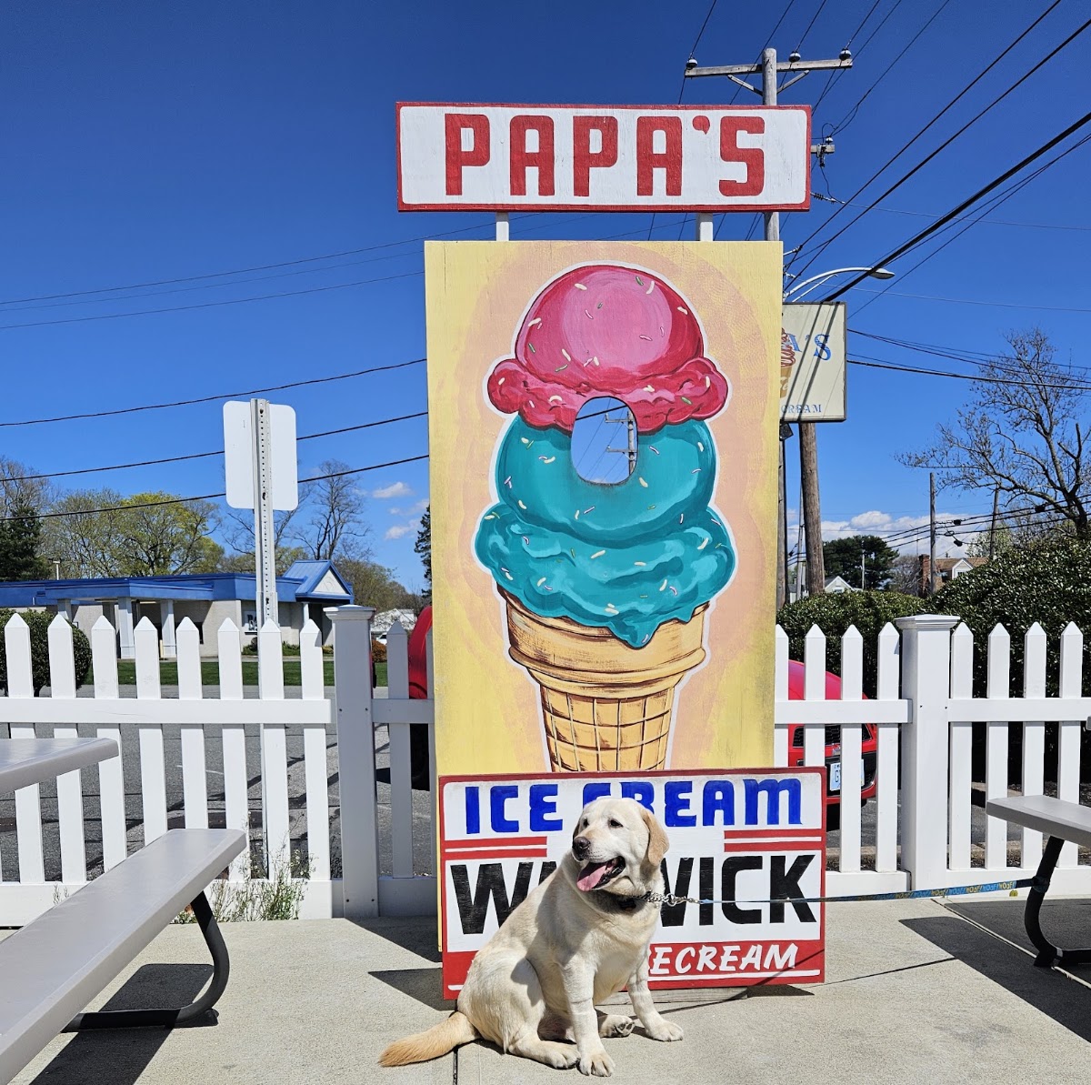Papa's Ice Cream photo from Google