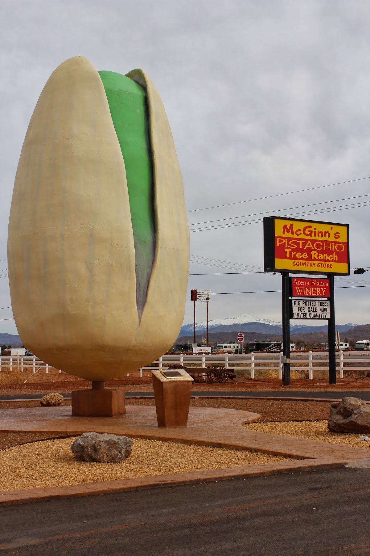 PistachioLand Farm Tours in Alamogordo, NM