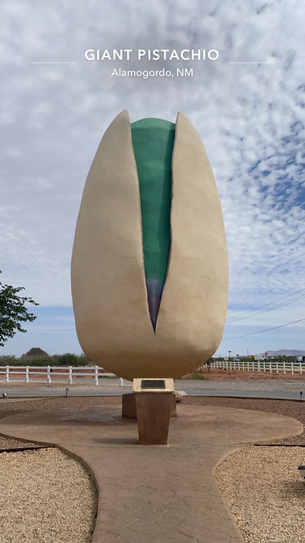 PistachioLand Farm Tours photo from Google
